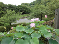 CIMG0833