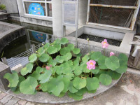 CIMG0838