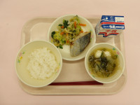 IMGP0580