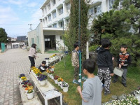 IMG_5539 - コピー - コピー