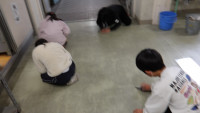 IMGP0013