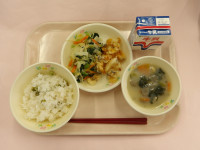 IMGP0813