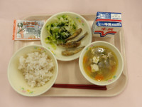 IMGP0842