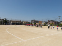 IMGP0740