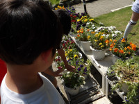 IMGP0990