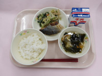 IMGP1186