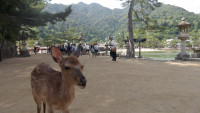 IMGP0760