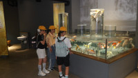 IMGP0773
