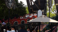 IMGP0781