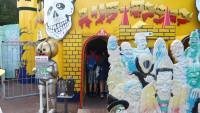 IMGP0788