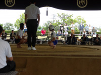 IMGP1625