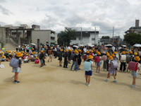 IMGP0054