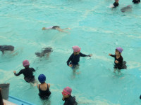 IMGP0084