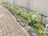 IMGP0001