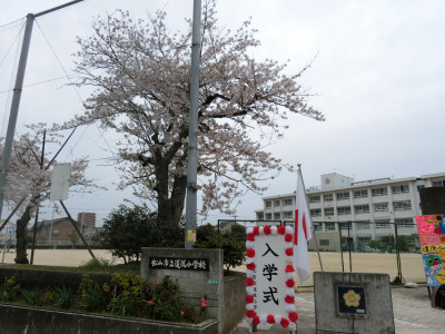 CIMG7229