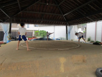 IMG_8121