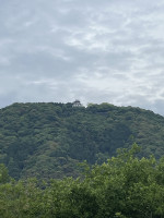 IMG_3235