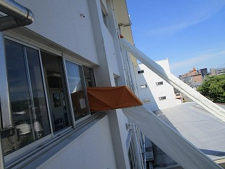 IMG_1835