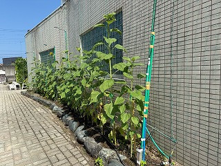 3年4組_学級活動_遠藤　斉_2025年8月1日のノート_13