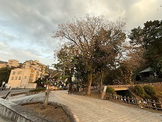 3年4組_総合_遠藤　斉_2025年12月23日のノート_20