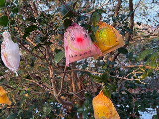 3年4組_総合_遠藤　斉_2025年12月23日のノート_15