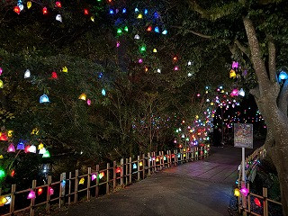 3年4組_総合_遠藤　斉_2025年12月23日のノート_7