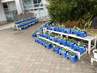 IMGP0066 - コピー