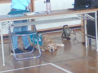 4年1組_総合_中下　裕文_2026年2月2日のノート_5