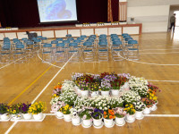 IMGP0133