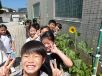 IMGP0203