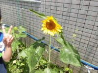 IMGP0204