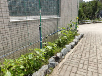 IMGP0206