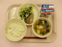 IMGP1637