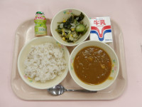 IMGP1676