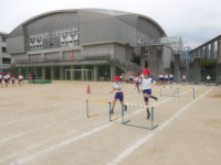 IMGP0035